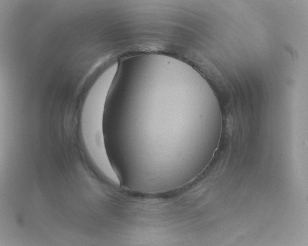 X0000115580304200911241518