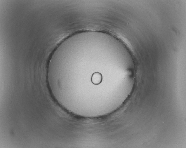 X0000115580305200911241518