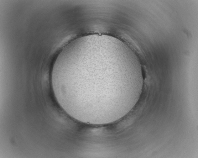 X0000115580306200911241518