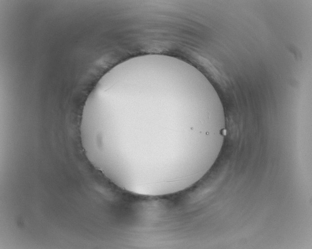 X0000115580307200911241518