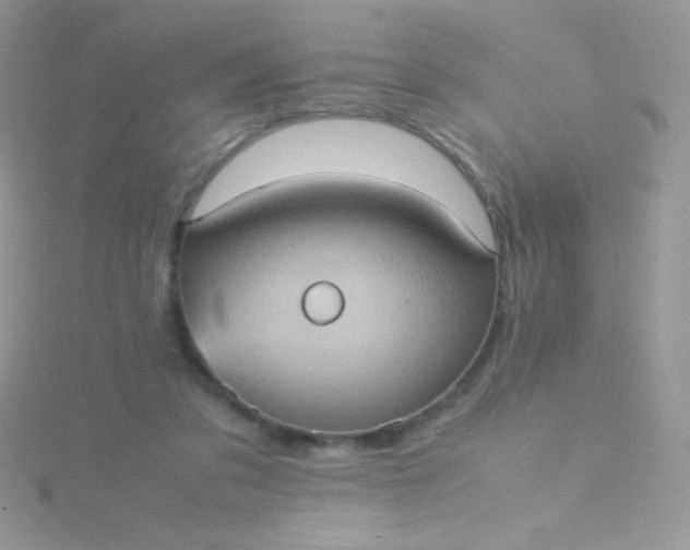 X0000115580309200911241518