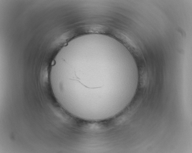 X0000115580310200911241518