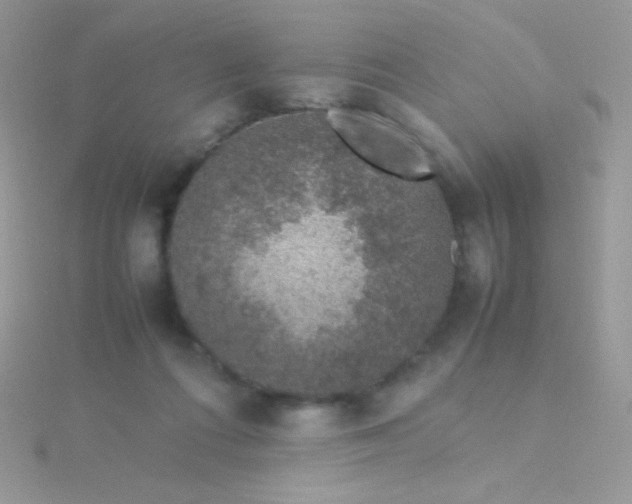 X0000115580312200911241518