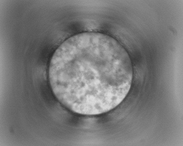 X0000115580313200911241518