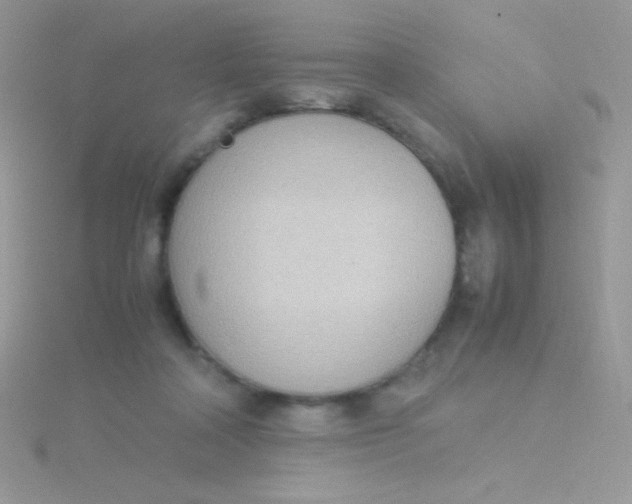 X0000115580314200911241518