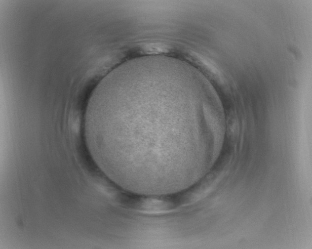 X0000115580315200911241518