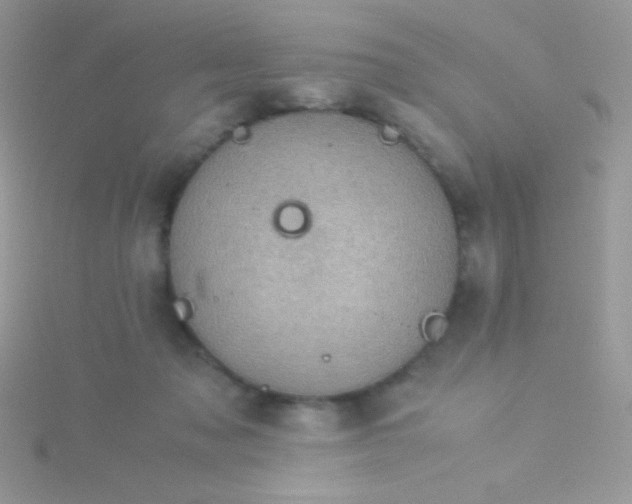 X0000115580317200911241518