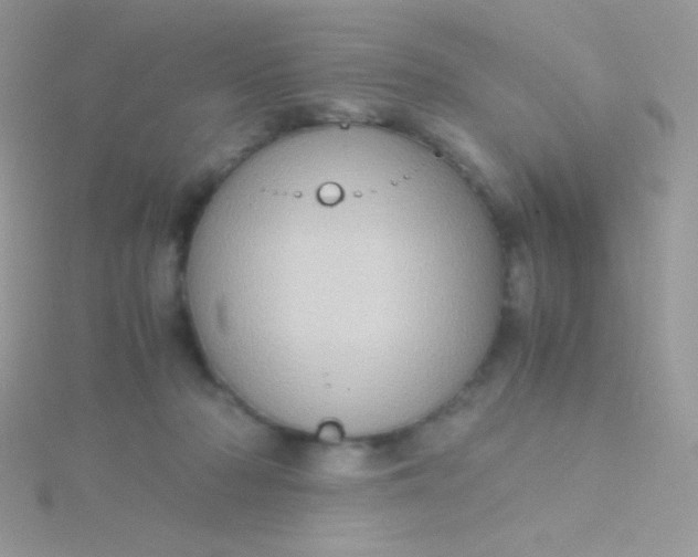 X0000115580318200911241518