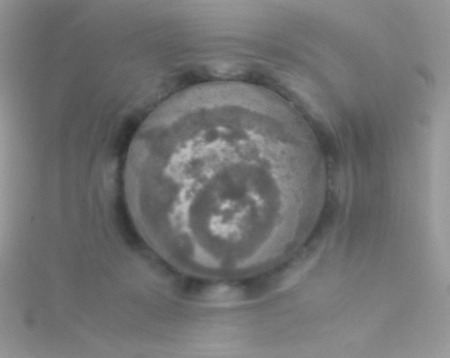 X0000115580319200911241518