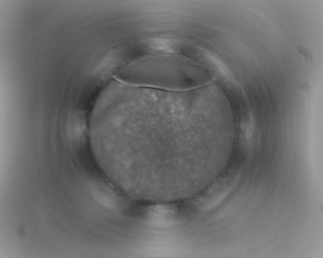 X0000115580320200911241518