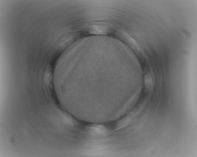 X0000115580322200911241518