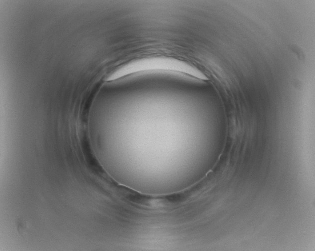 X0000115580324200911241518