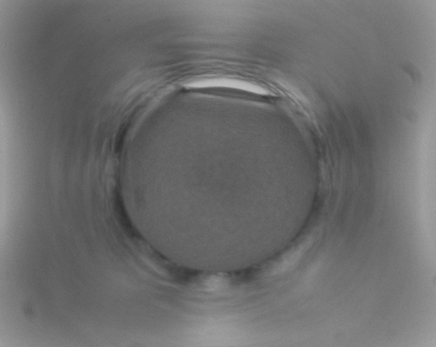 X0000115580325200911241518