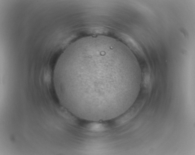 X0000115580326200911241518