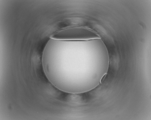 X0000115580327200911241518