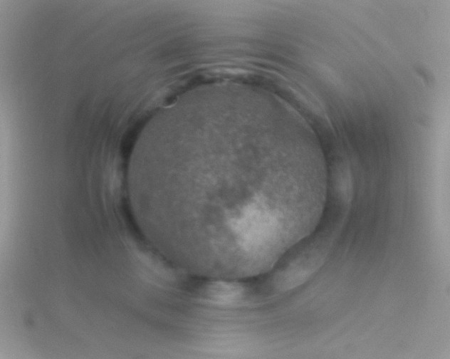 X0000115580328200911241518