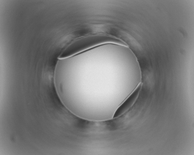 X0000115580329200911241518