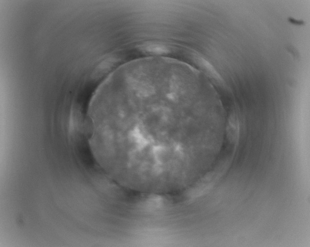 X0000115580330200911241518