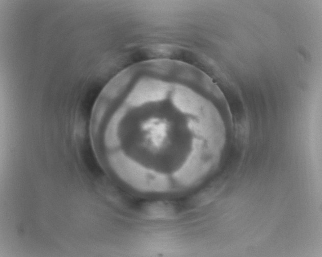 X0000115580331200911241518