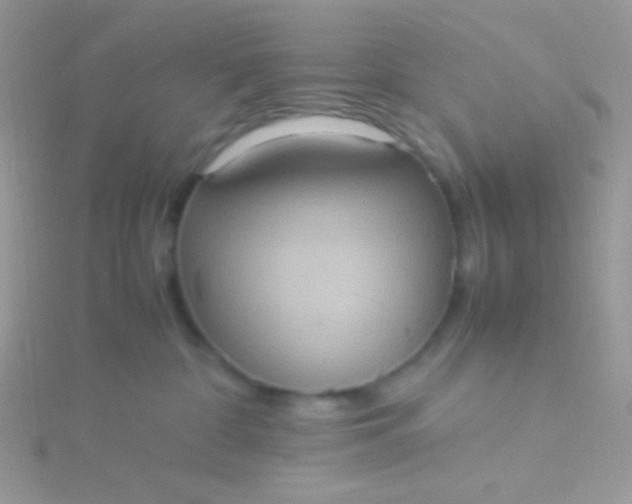 X0000115580332200911241518