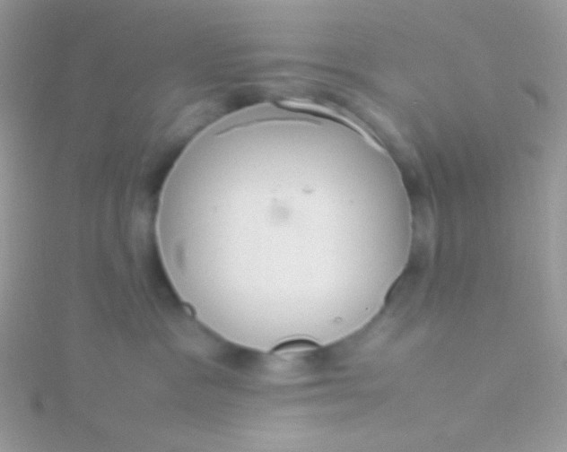 X0000115580333200911241518