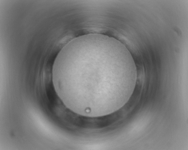 X0000115580334200911241518