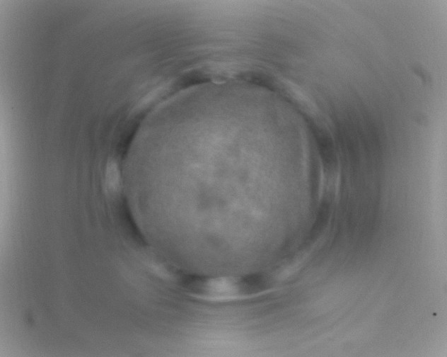 X0000115580335200911241518