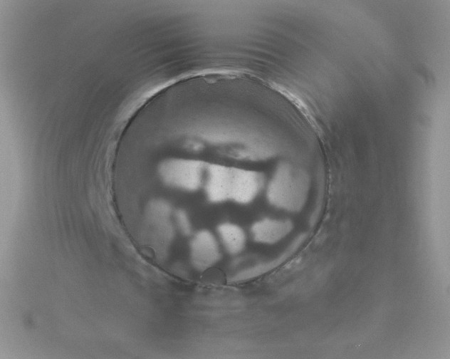 X0000115580337200911241517