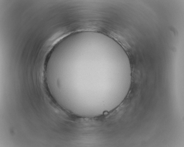 X0000115580338200911241517