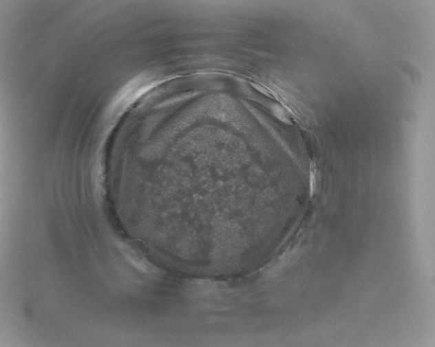 X0000115580339200911241517