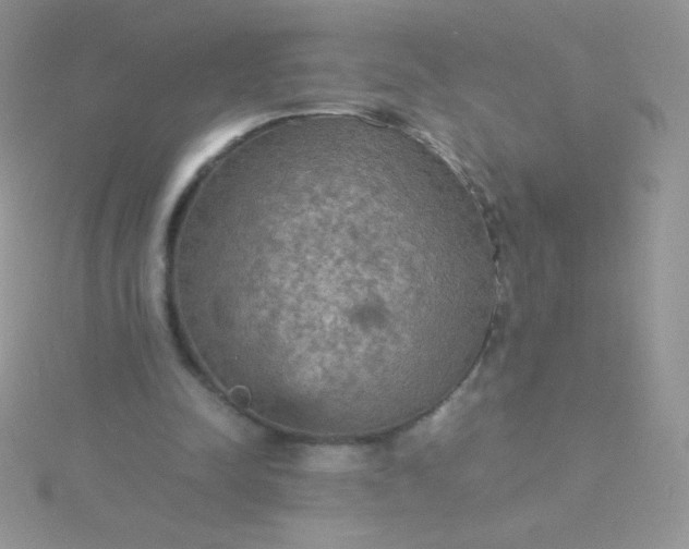 X0000115580342200911241517