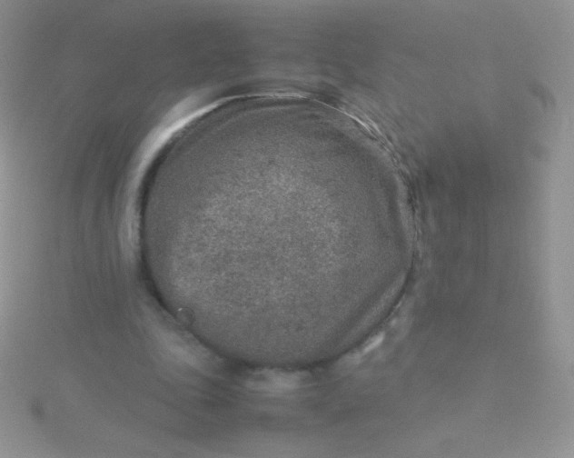 X0000115580343200911241517