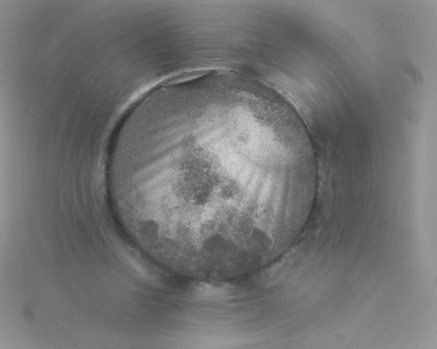 X0000115580346200911241517