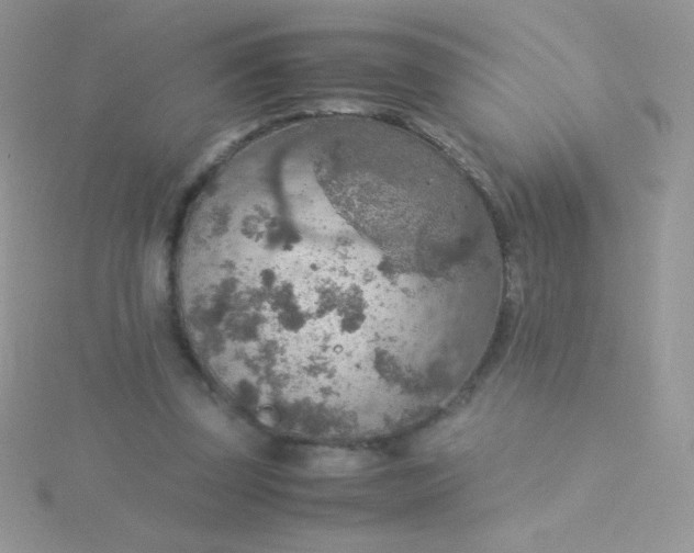 X0000115580347200911241517