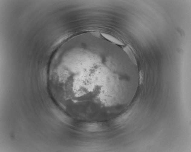 X0000115580349200911241517