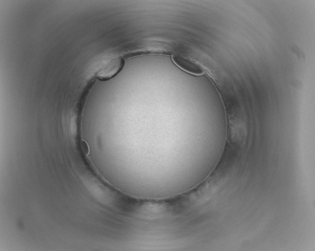 X0000115580350200911241517