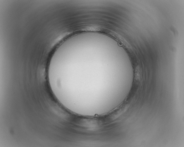 X0000115580351200911241517