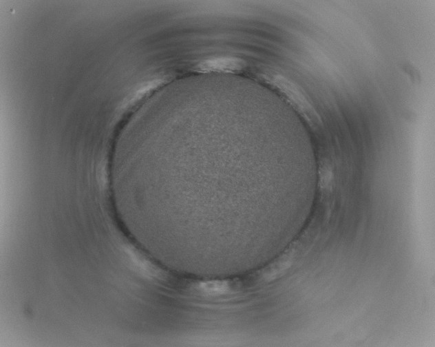 X0000115580353200911241517