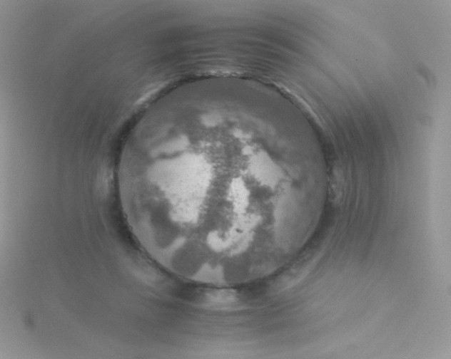 X0000115580355200911241517