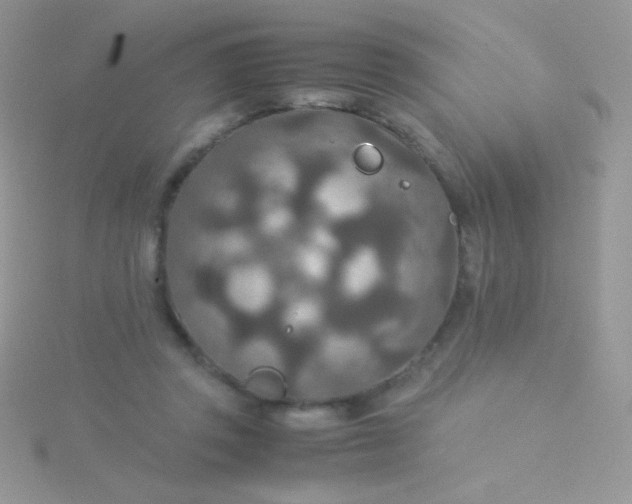 X0000115580357200911241517