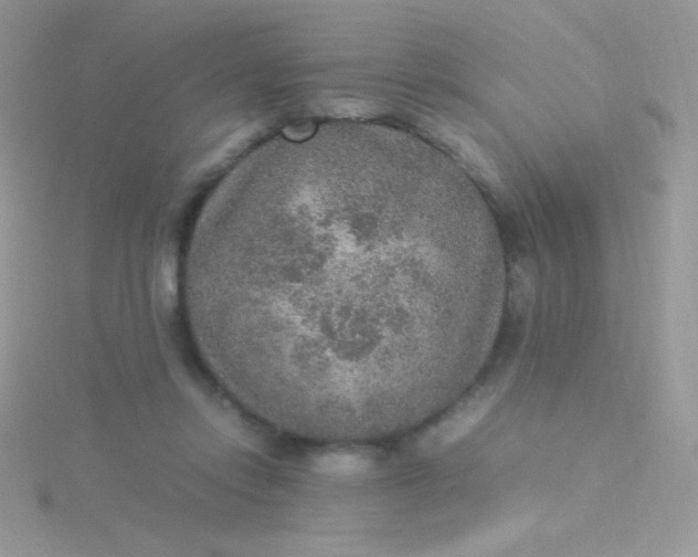 X0000115580358200911241517