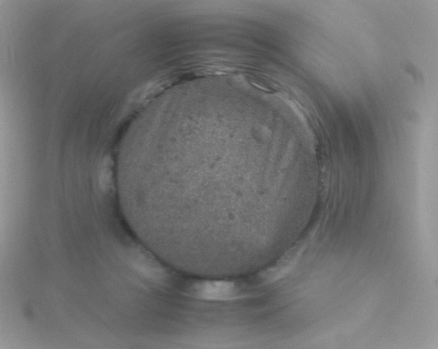 X0000115580361200911241517