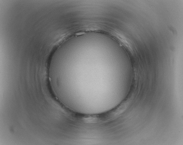 X0000115580362200911241518