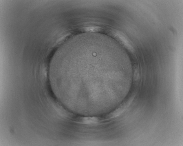 X0000115580363200911241518