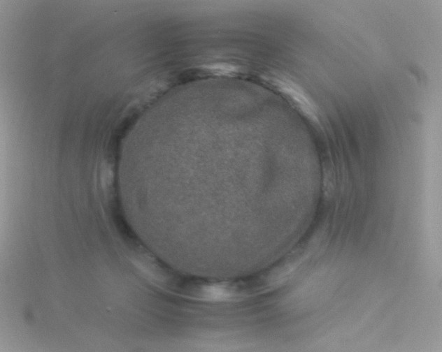 X0000115580365200911241518