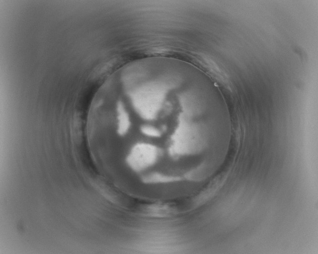 X0000115580366200911241518