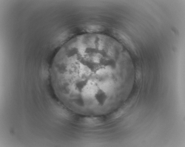 X0000115580367200911241518