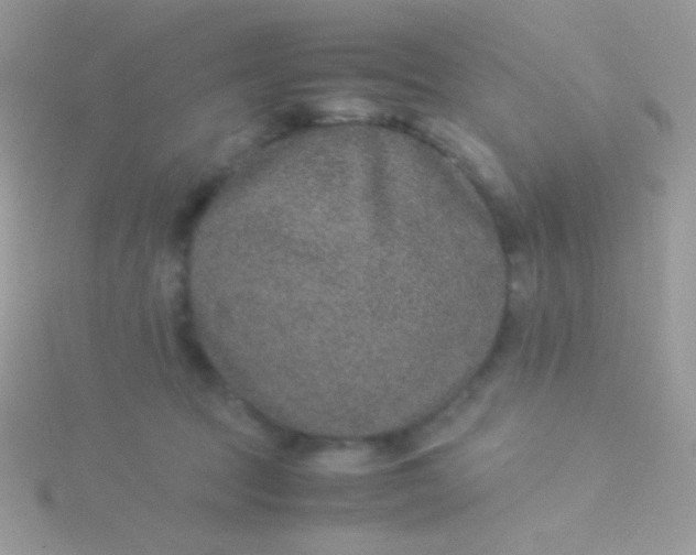 X0000115580369200911241518