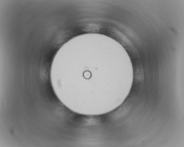 X0000115580370200911241518