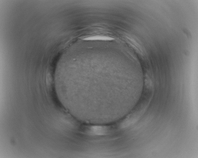 X0000115580371200911241518